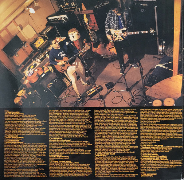 Beastie Boys : Check Your Head (LP,Album,Reissue)