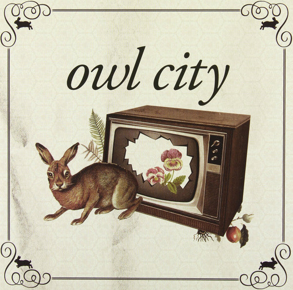 Owl City : Fireflies / Vanilla Twilight (7",45 RPM,Record Store Day,Single)