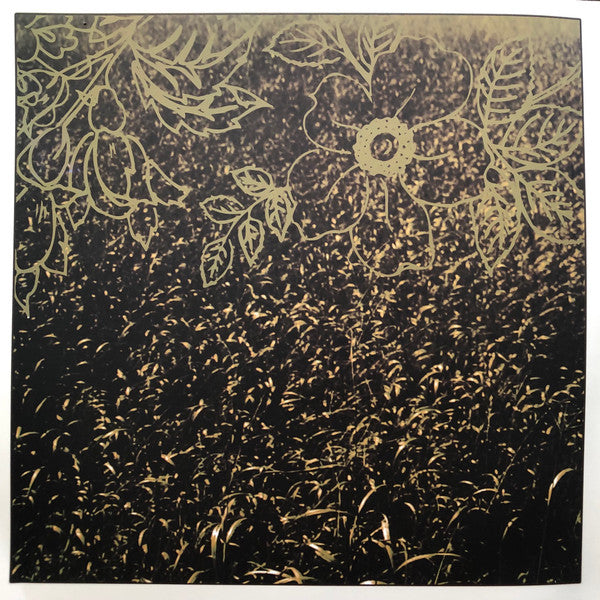 Back When : We Sang As Ghosts (LP, Blu + LP, Bro + Album)