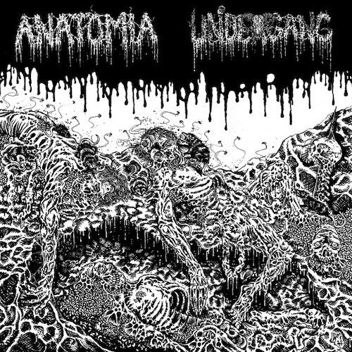 Anatomia / Undergang (2) : Anatomia / Undergang (12")