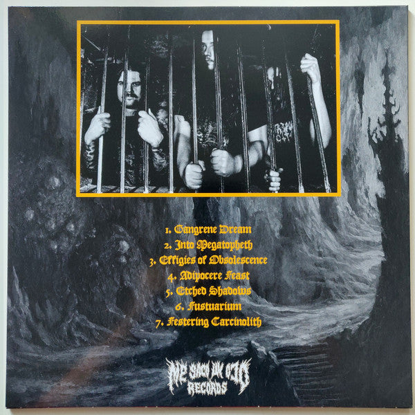 Chaotian : Effigies Of Obsolescence (LP,Album,Stereo)