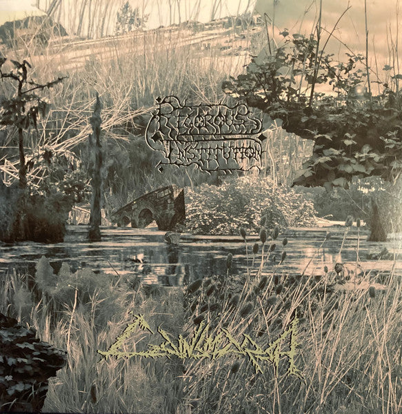 Rigorous Institution : Cainsmarsh (LP,Album,Limited Edition,Numbered)