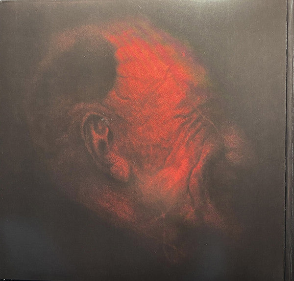Ken Mode : Null (LP,Album)