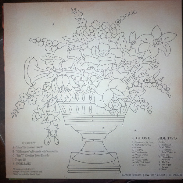 Ty Segall : Horn The Unicorn (LP,Compilation,Reissue)