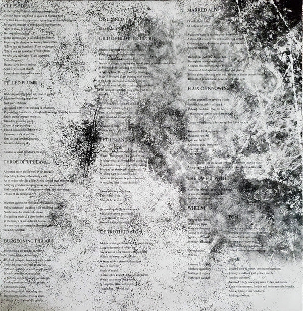 Knoll (3) : Metempiric (LP)