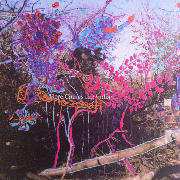 Animal Collective : Here Comes The Indian (LP,Album,Reissue)