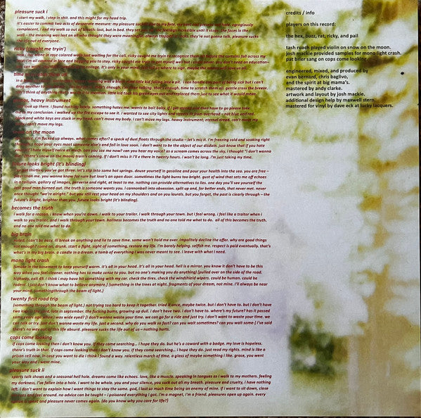 Spirit Of The Beehive, The : Pleasure Suck (LP,Album,Repress)