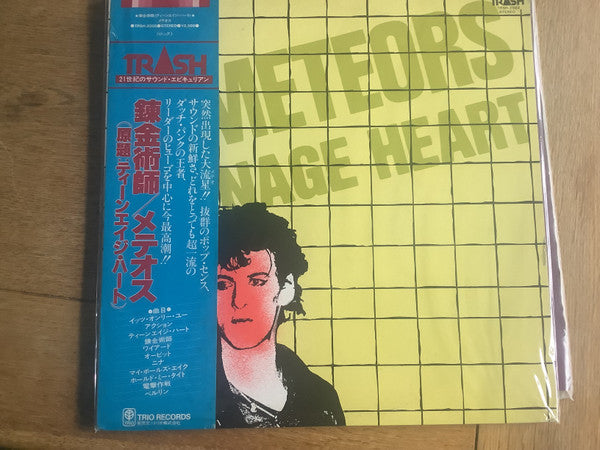 The Meteors : Teenage Heart (LP, Album, Promo)