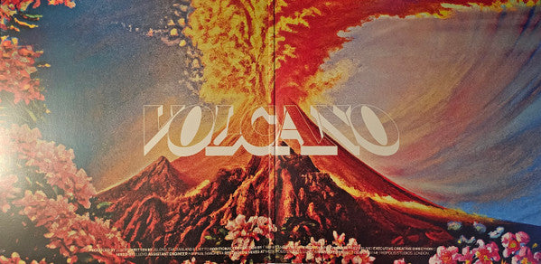 Jungle (12) : Volcano (LP,Album)