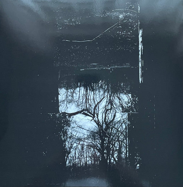 Reverence To Paroxysm : Lux Morte (LP,Album)