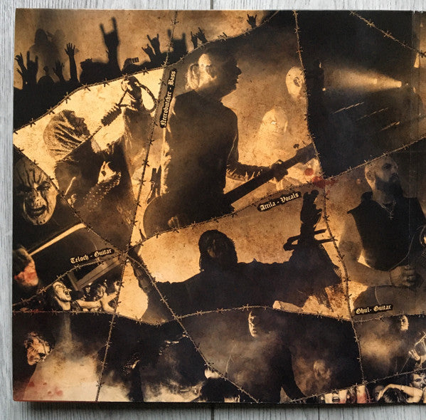 Mayhem : Daemonic Rites (LP,Album)
