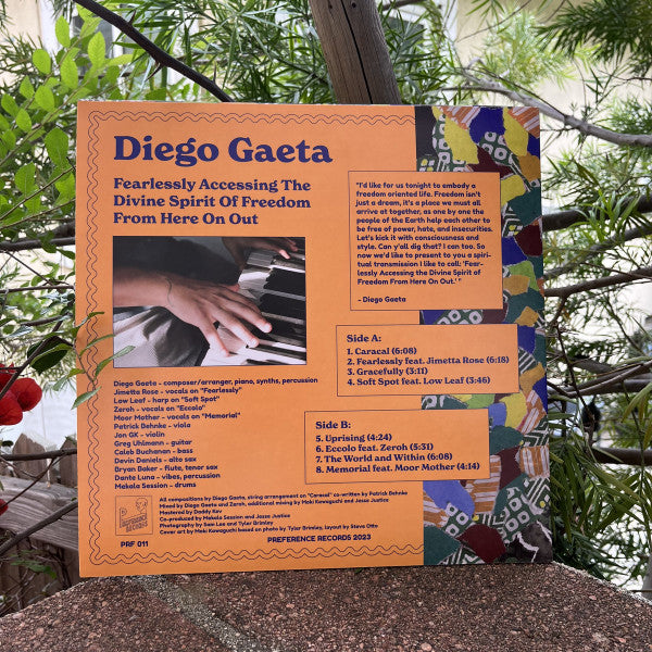 Diego Gaeta : Fearlessly Accessing The Divine Spirit Of Freedom From Here On Out (LP, Album)