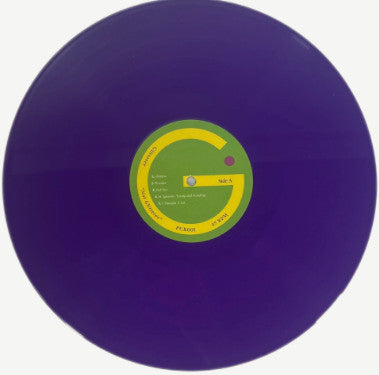 Glitterer : Not Glitterer  (LP, Comp, Pur)