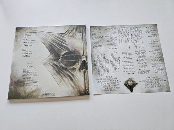 In Flames : Sounds Of A Playground Fading (LP,Album,Reissue)