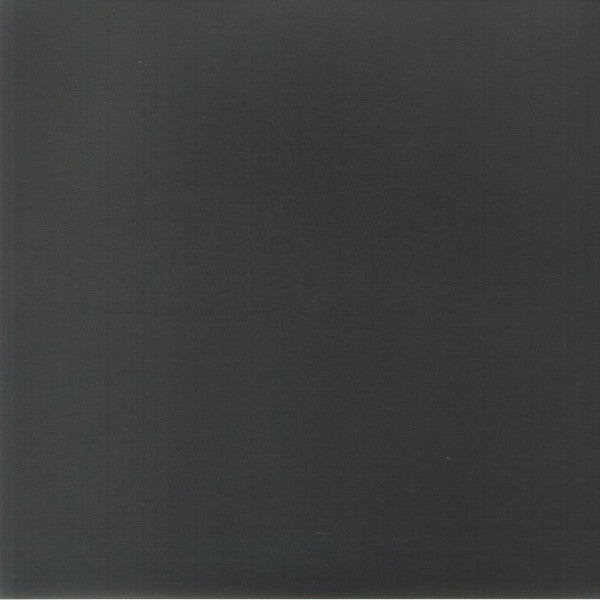 Boris (3) With Merzbow : 04092001 (LP,Album,Reissue)