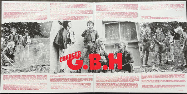 G.B.H. : Leather, Bristles, No Survivors And Sick Boys... (LP,Compilation,Reissue)