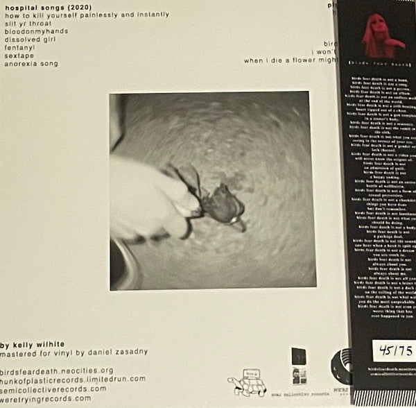 birds fear death : Hospital Songs/Pigeon Days (12",33 ⅓ RPM,Compilation)