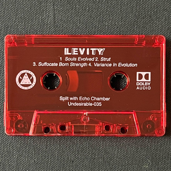 Levity (4) / Echo Chamber (5) : Levity / Echo Chamber (Cass)