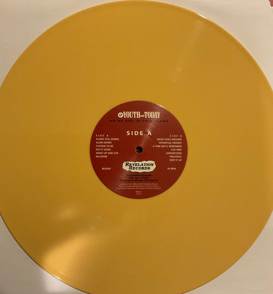 Youth Of Today : We're Not In This Alone (LP,Album,Repress)