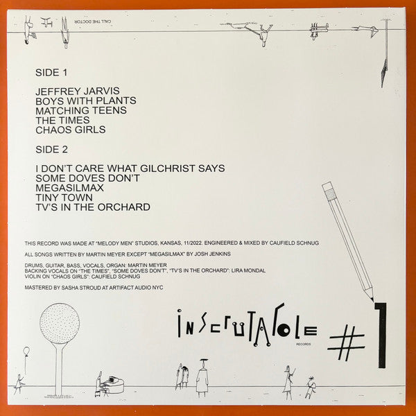 Soup Activists : Mummy What Are Flowers For? (LP, Album)