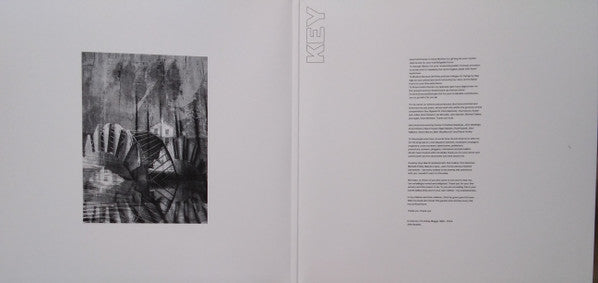 Alison Moyet : Key (2xLP, Album, Cle)