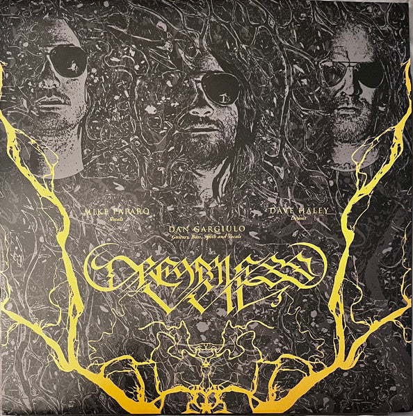 Dreamless Veil : Every Limb Of The Flood (LP,Album,Limited Edition)