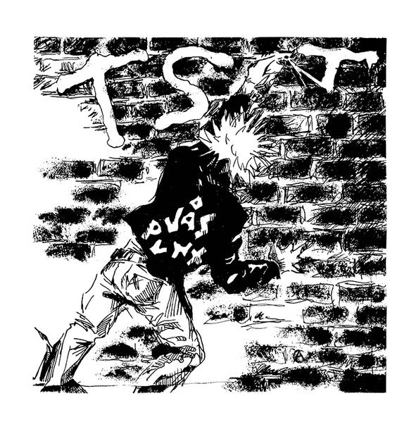 TST : Vås Punx (7",45 RPM,Reissue,Repress)