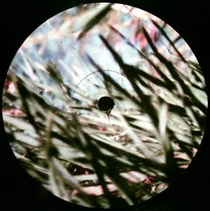 Gas : Pop (LP,Album)