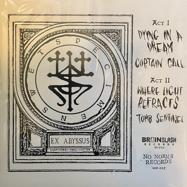 Wet Specimens : Dying In A Dream  (7")