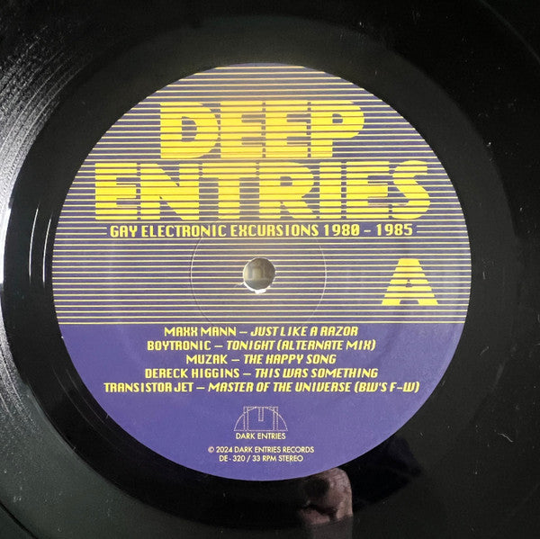 Various : Deep Entries (Gay Electronic Excursions 1980-1985) (LP,Compilation,Remastered)