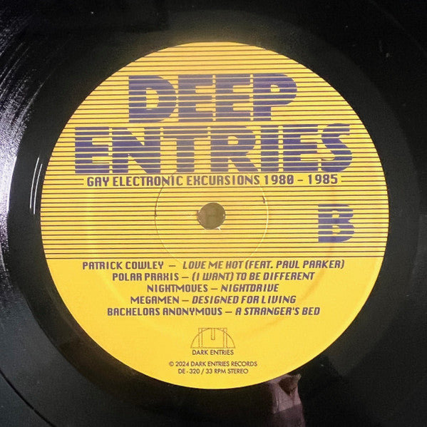 Various : Deep Entries (Gay Electronic Excursions 1980-1985) (LP,Compilation,Remastered)