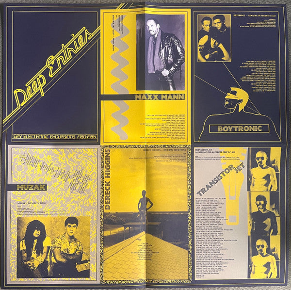 Various : Deep Entries (Gay Electronic Excursions 1980-1985) (LP,Compilation,Remastered)