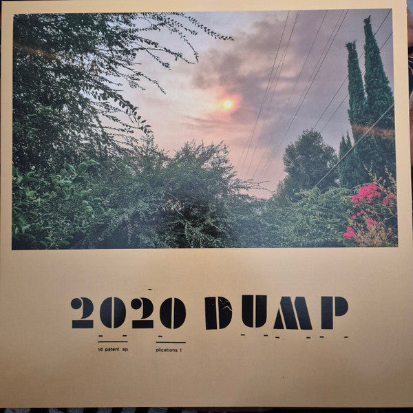 Jeff Rosenstock : 2020 DUMP (LP,Album,Limited Edition,Reissue)