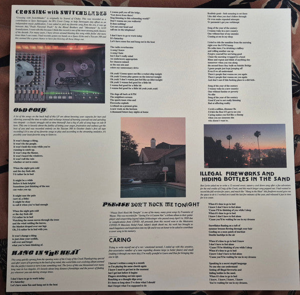Jeff Rosenstock : 2020 DUMP (LP,Album,Limited Edition,Reissue)