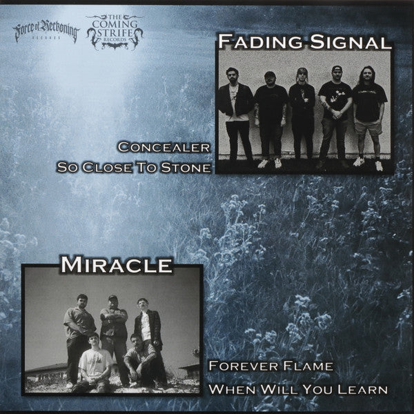 Fading Signal, Miracle (39) : Split (12",45 RPM,Single Sided,Limited Edition)