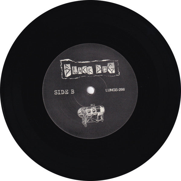 Black Dog (10) : Sewn Into Confusion (7", EP)