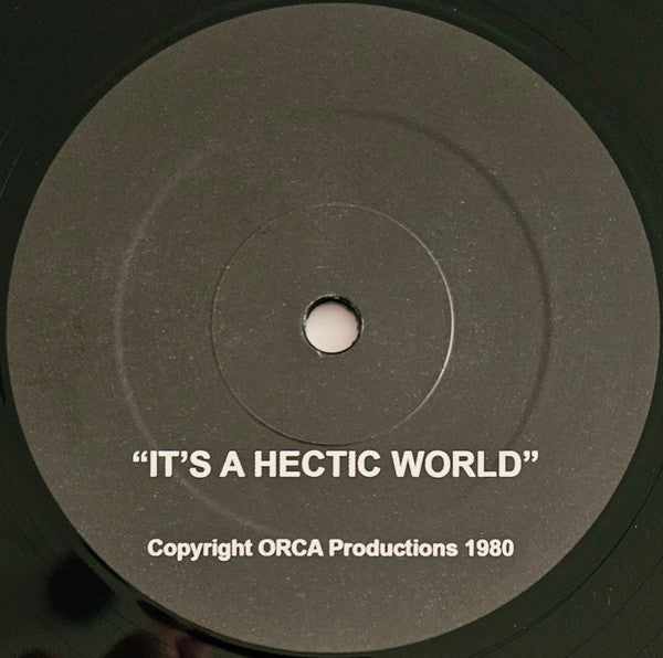 Descendents : Ride The Wild / It's A Hectic World (7",45 RPM,Unofficial Release)