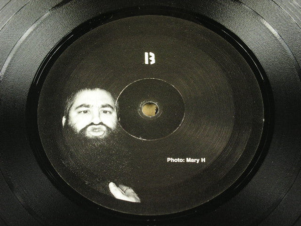 Various : Disturbing The Peace - An Ear2theground Punx Compilation (LP,Compilation)