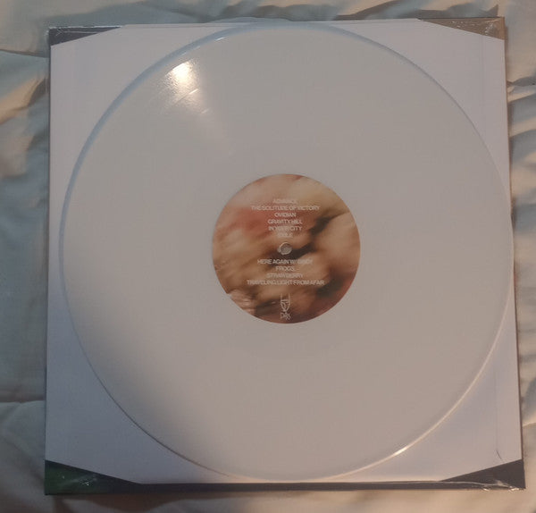 Ross Farrar : Cleaning Out The Empty Administration Building (LP, Album, Ltd, Opa)