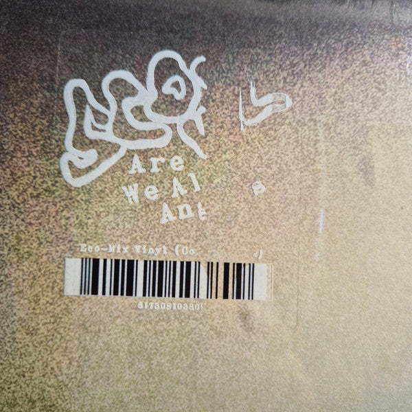 Scowl (4) : Are We All Angels (LP,Album,Limited Edition)