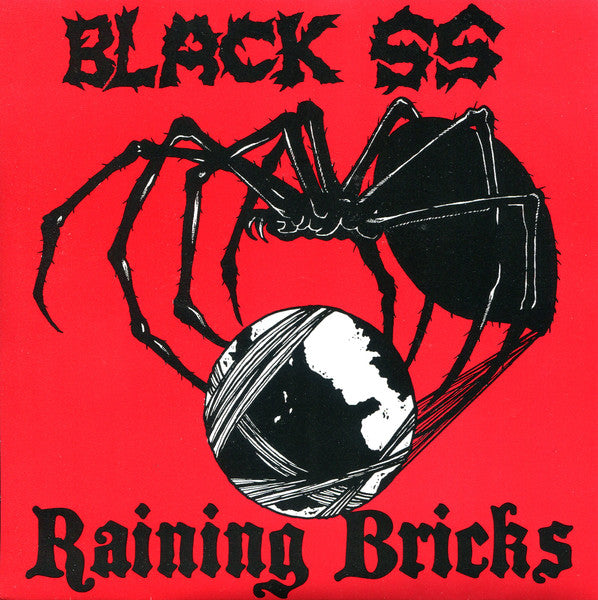 Black Sheep Squadron / Raining Bricks : Black SS / Raining Bricks (7")
