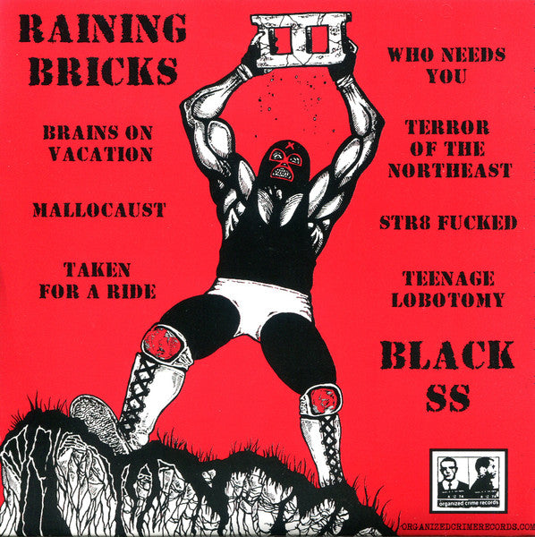 Black Sheep Squadron / Raining Bricks : Black SS / Raining Bricks (7")