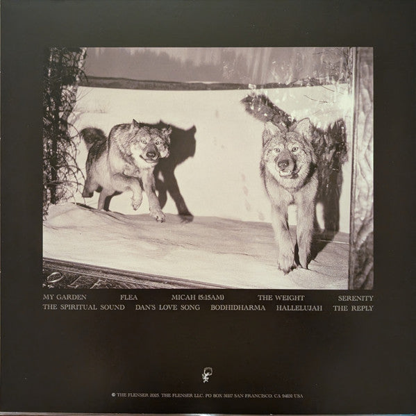 Agriculture : The Spiritual Sound (LP,Stereo)