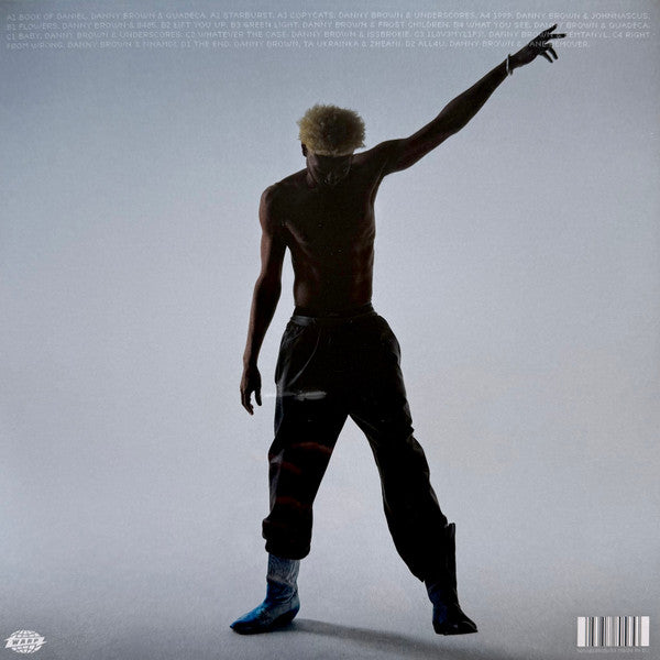 Danny Brown (2) : Stardust (LP,Album)