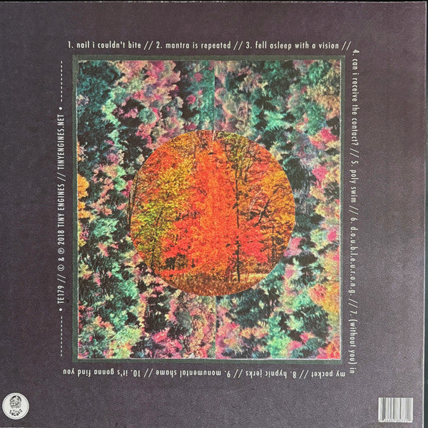 Spirit Of The Beehive, The : Hypnic Jerks (LP,Album,Repress)