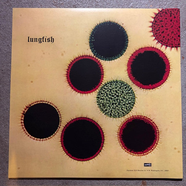 Lungfish : Artificial Horizon (LP,Album,Reissue)