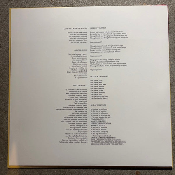 Lungfish : Artificial Horizon (LP,Album,Reissue)