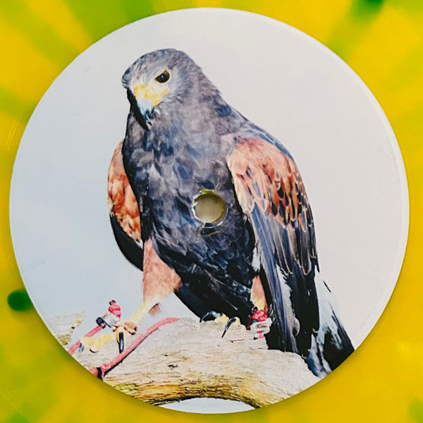 Avalon Emerson : Written Into Changes (LP,Album,Limited Edition)