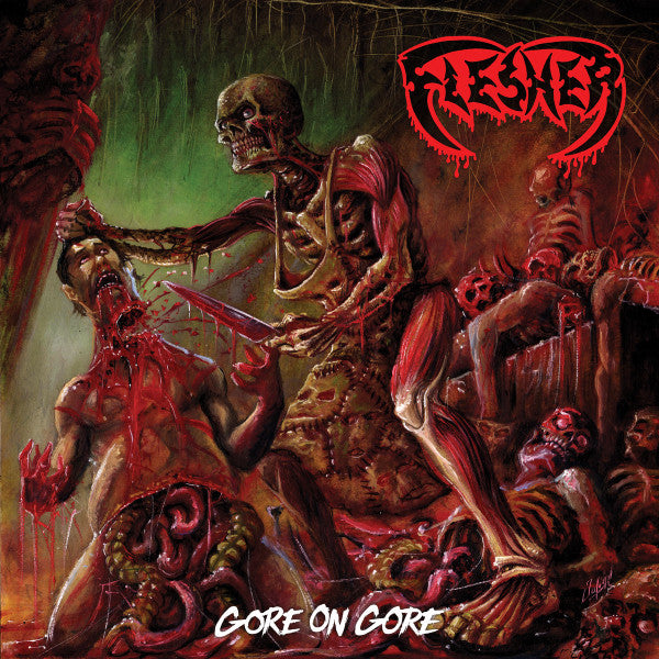 Flesher (2) : Gore On Gore (12",45 RPM,EP)