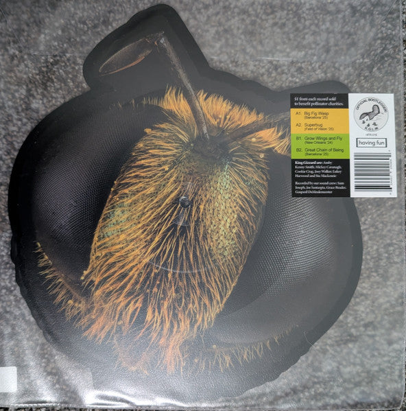 King Gizzard And The Lizard Wizard : Big Fig Wasp (11",Shape,Record Store Day,Picture Disc)